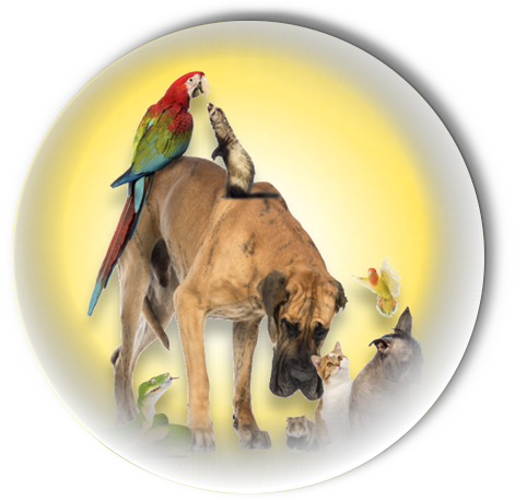 client resources pets icon