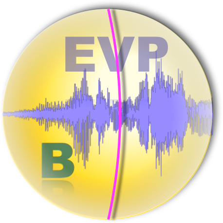 team resources evp b icon