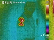 glossary FLIR