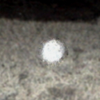 glossary orb